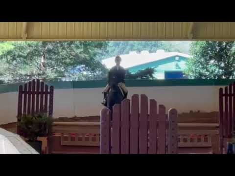 Home Run Bound video 3