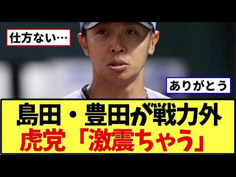 【阪神】島田海吏・豊田寛が戦力外…今季無安打の島田と骨折に泣いた豊田に、虎党「激震ではない」「お疲れ様」←これ【野球】