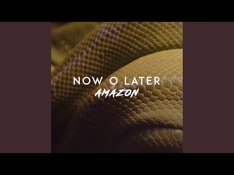 Amazon (Extended Mix)