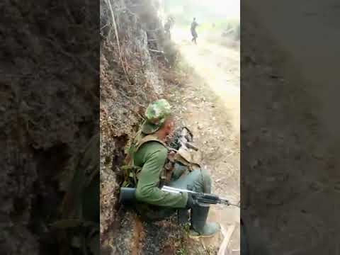 el grupo armado eln y las agc disputen territorio en colombia