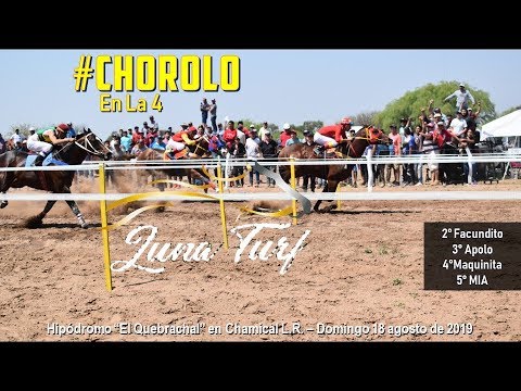 HIP. "EL QUEBRACHAL" EN CHAMICAL L.R. 29/09/2019 - CHOROLO, APOLO, FACUNDITO, MIA Y MAQUINITA