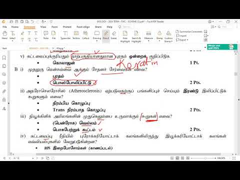 1st Term (24 Batch)FWC Structure Paper Discussion - 1