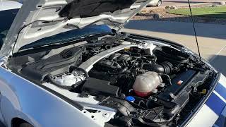 2020 Shelby GT350-Engine Bay