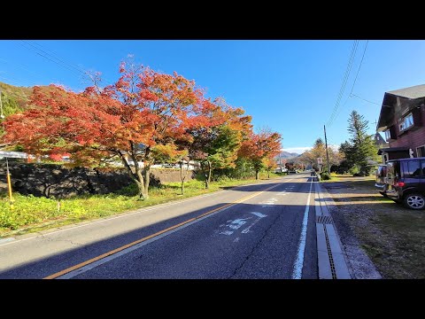 Folhas de outono de 4K HDR ao redor da loja