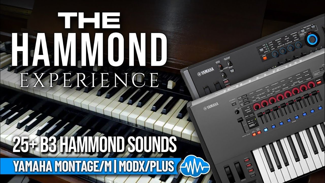 PRS007 - The Hammond Experience - Yamaha MONTAGE / M / ( 25+ performances ) - Video Preview 1