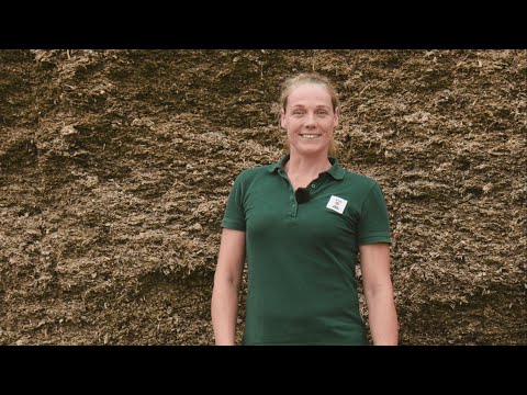 Erzeugung von Qualitätssilagen für die Rinderfütterung