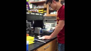 Bunsen burning up my heart