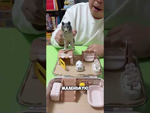 🐺🐱 Волк vs Кошка: весёлая жизнь в одном доме 😂🏠