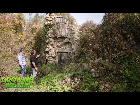 Jim Belushi & Chris visit parents property in Albania