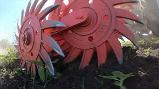 Rollhacken / Rotorhacke "SUNRISE"