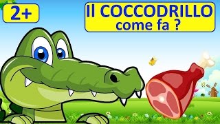 il coccodrillo come fa quando vuole mangiare?! Ora pranzo a Zoo, video per bambini piccoli da 2 anni
