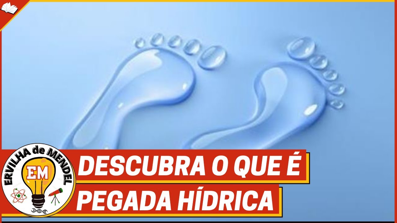 Pegada hídrica | O que é pegada hídrica ?