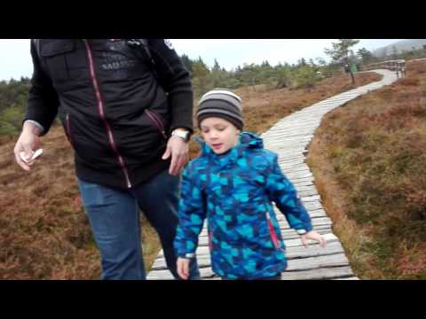 Im schwarzen Moor in der Rhön 😊😝