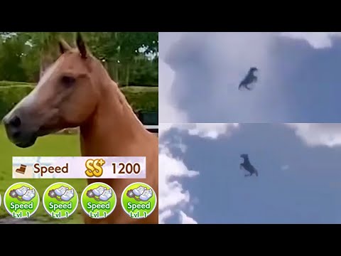 When You Only Maxed 1 Stat in Uma Musume