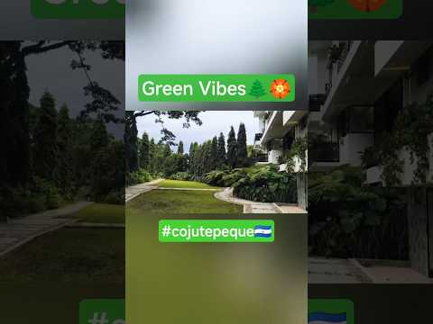 🌳 Green Therapy in Cojutepeque | Nature’s Reset Button! #relaxingvideo