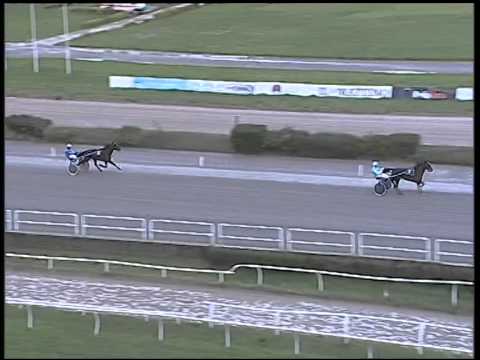 Trotto 16/12/2014 - 2° prova di riqualifica