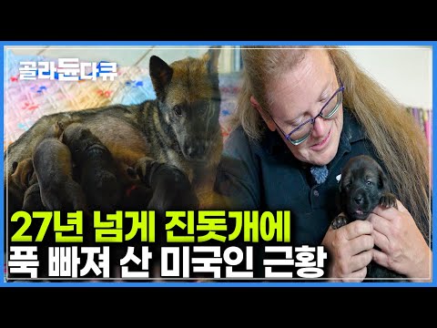 순수 혈통을 가진 진돗개 새끼까지 나왔다｜ 미국 여자가 한국개에 푹 빠져버린 이유｜다큐프라임｜#골라듄다큐