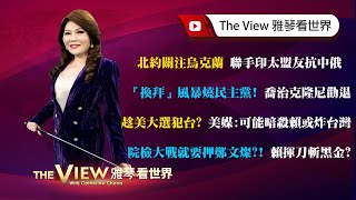 [討論] 范雲談鄭文燦事件與野百合學運(影片)