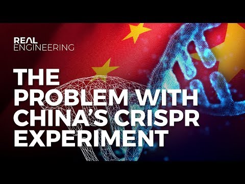 设计师婴儿（Designer Babies - The Problem With China's CRISPR Experiment）
