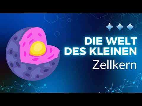 Der Zellkern – Steuerzentrale der Zelle“ 🧬🔬I   NaWi Leicht erklärt