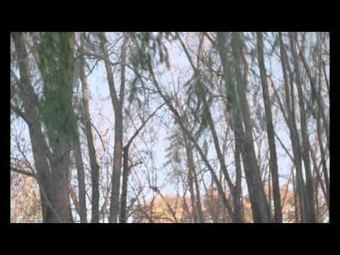 Evening Hymns - Spectral Dusk - Album Teaser 1