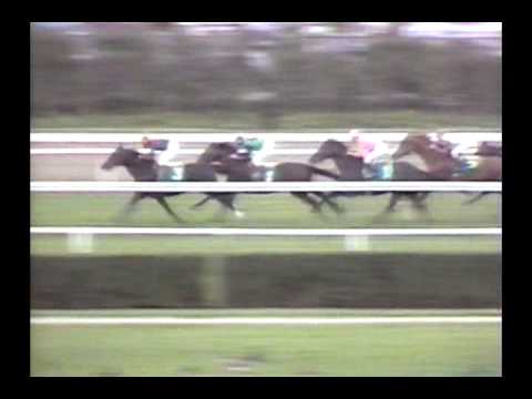 1989 Turf Classic - Yankee Affair