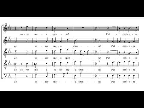 Palestrina: Vulnerasti cor meum - Sixteen