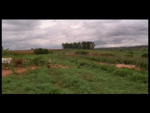 Trailer de Formigas (2009)