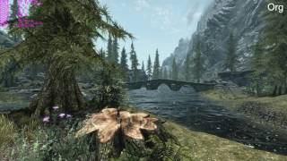 Skyrim Special Edition vs. Original 4K 60 FPS /w "Benchmark"