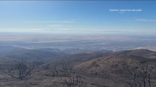 IDFG planning sagebrush seed drops to restore Valley Fire area