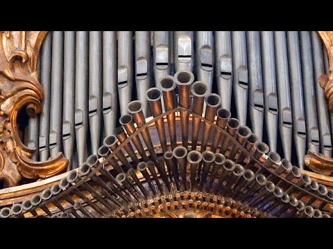 FANFARE with SPANISH TRUMPETS! 🎺 - Santanyi Organ Improvisation - Paul Fey