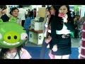 ANGRY BIRDS Wmv
