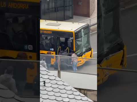 Un conductor d'un L6 perd el coneixement i s'encasta contra un establiment