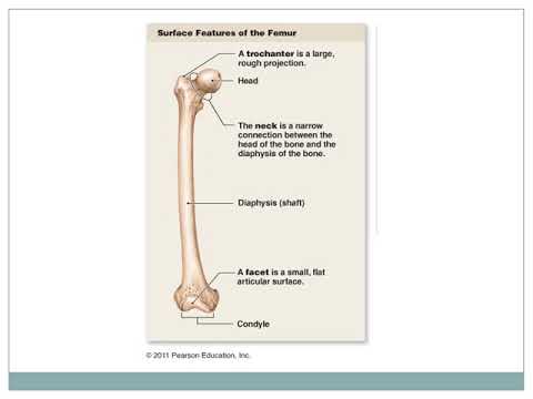 Chapter 6 Recorded Lecture