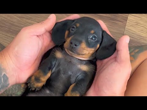 YouTube 썸네일