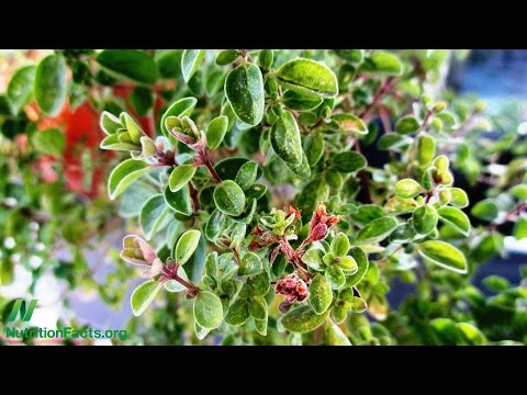 Which Spices Fight Inflammation