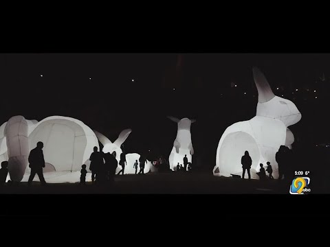 Iowa City downtown district introduces Winter Night Lights public art installation