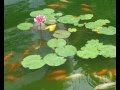 Yao Beina (Bella Yao) – Picking Lotus 2013 姚貝娜 ...