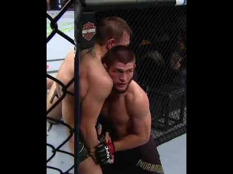 Время боя конора хабиба. Ufc 229 потасовка. Конор макгрегор ufc 229. Время боя конора хабиба. Морис грин ufc.