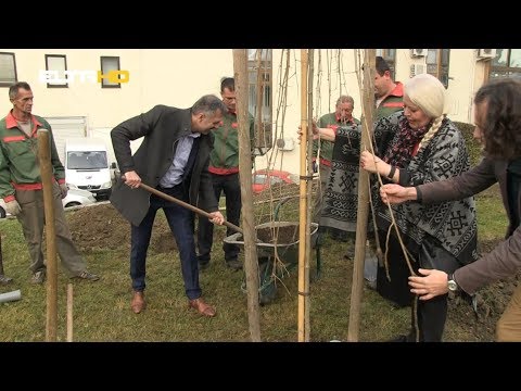 BL HRONIKA  13 11 18 - SADNJA SADNICA