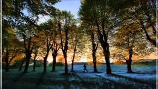 Richard Durand feat. Hadley - Run to You (Orjan Nilsen Trance Mix)