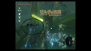 【実況】方向音痴が駆ける【ゼルダの伝説ブレスオブザワイルド】46
