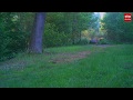 Mannetjeswolf lijkt zich te hebben gevestigd in Drenthe