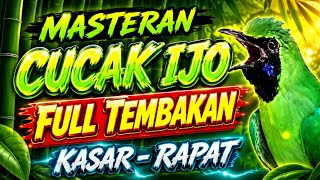 Download lagu Masteran Cucak Ijo Full Tembakan Kasar Rapat | Dijamin Cepat Ngentrok & Gacor! mp3 Download lagu Masteran Cucak Ijo Full Tembakan Kasar Rapat | Dijamin Cepat Ngentrok & Gacor! mp3