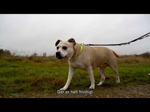 Eduard sagde stop - en historie om rygestop