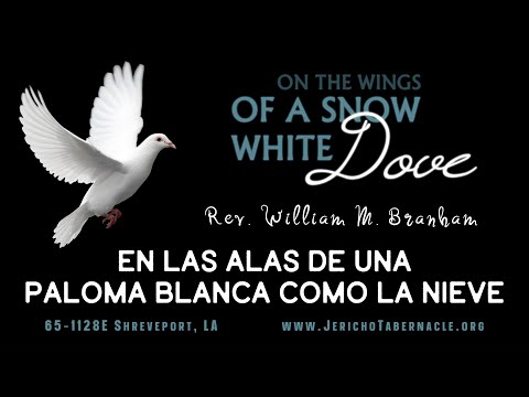 2021-1201 - 65-1128E On The Wings Of A Snow-White Dove - Rev. William M. Branham