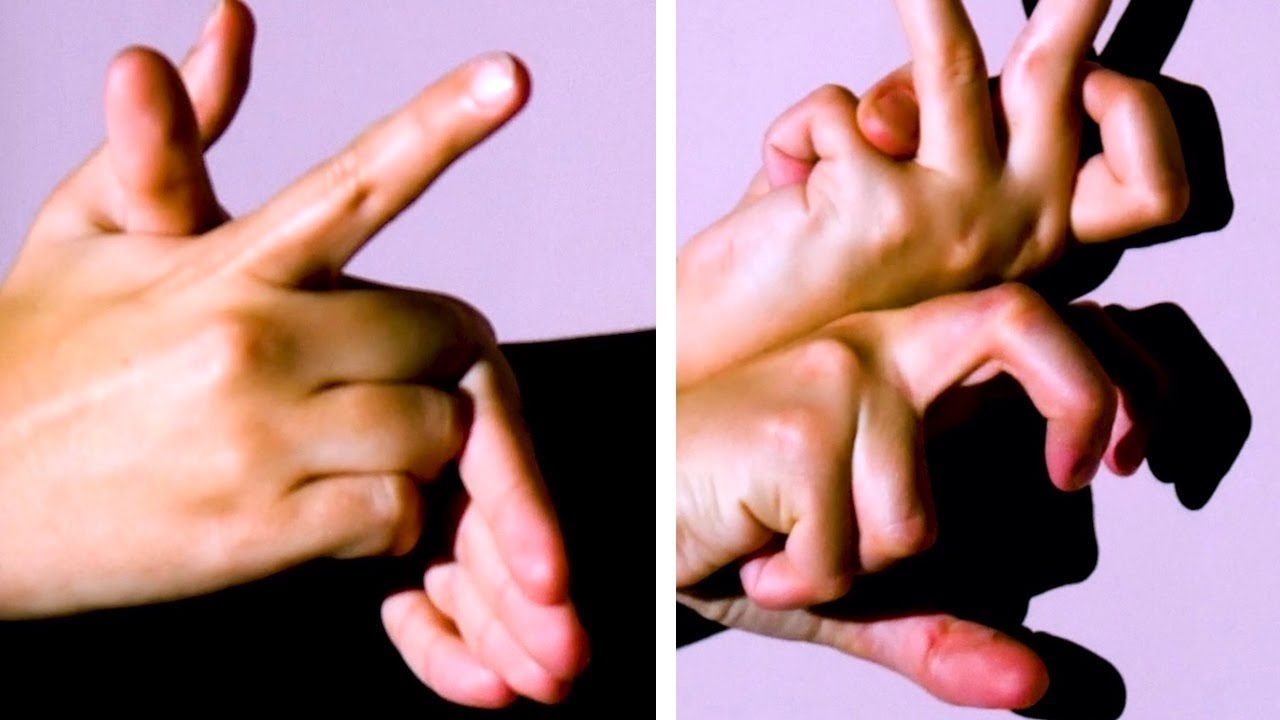 Watch Now 10 sombras em forma de animais que causam sensação - o n° 3 senta-se em um galho 10 sombras em forma de animais que causam sensação - o n° 3 senta-se em um galho