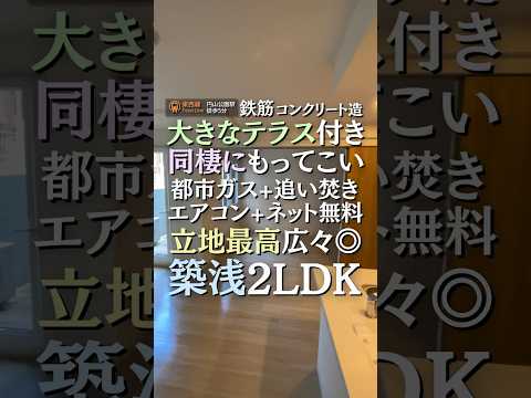 アパートのテラスの開発: 専門家のアドバイスと装飾のヒント  庭園