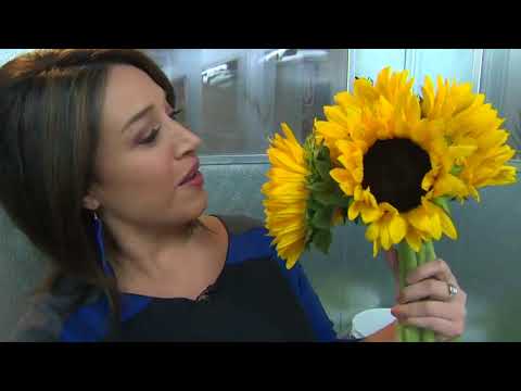 Take This Job: Florist