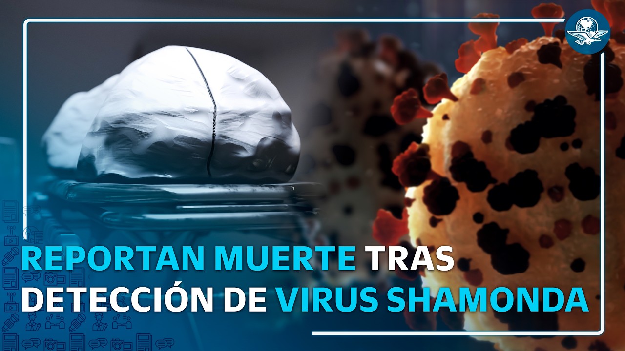 ¿Qué es el virus Shamonda y cuáles son sus síntomas?